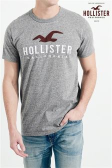 hollister india Online shopping has 