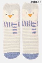Circus Trainer Socks Five Pack