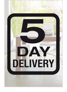 Express Delivery