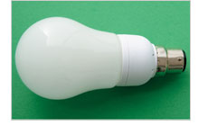 Bulbs & Accessories