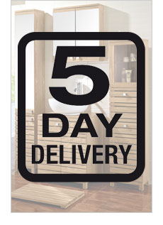 Express Delivery