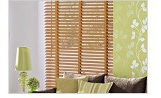Venetian Blinds