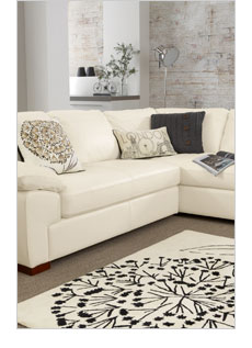 Leather Sofas